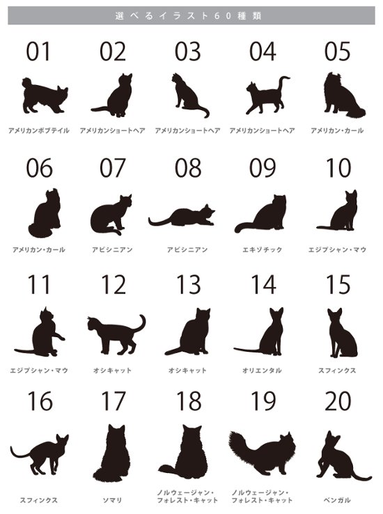 【宅配便商品】人気商品 名入れ フロントWショルダー 肩掛け バッグ 愛猫用 （ 猫シルエットラベル ショルダー バッグ ）名入れ ネーム 名前 猫種 猫 ネコ ねこ お出掛け画像