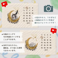 【小型ペット用】年齢フォトマット　ムーンデザイン　[ moon ]   月 星 名入れ 犬 猫 小動物 うさぎ オシャレ 人気 映え 写真 撮影アイテム画像