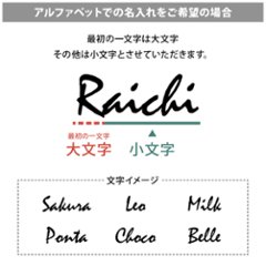 【小型ペット用】年齢フォトマット　ムーンデザイン　[ moon ]   月 星 名入れ 犬 猫 小動物 うさぎ オシャレ 人気 映え 写真 撮影アイテム画像