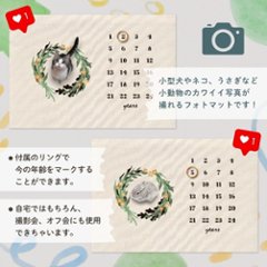 【小型ペット用】年齢フォトマット　リースデザイン　[ wreath ]   草花 ナチュラル 名入れ 犬 猫 小動物 うさぎ オシャレ 人気 映え 写真 撮影アイテム画像