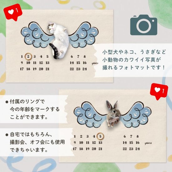 【小型ペット用】年齢フォトマット　ウィングデザイン　[ wing ]   翼 羽 天使 エンジェル 名入れ 犬 猫 小動物 うさぎ オシャレ 人気 映え 写真 撮影アイテム画像