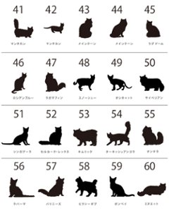猫 ポーチ ねこ ネコ 愛猫 お名前入り 人気商品 名入れ ネコシルエット ペットグッズ ねこのひ 猫の日 ネコの日 （ 猫シルエットラベル ポーチ ）猫種 名前 なまえ プレゼント おでかけ 出産祝画像