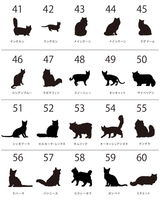 猫 ポーチ ねこ ネコ 愛猫 お名前入り 人気商品 名入れ ネコシルエット ペットグッズ ねこのひ 猫の日 ネコの日 （ 猫シルエットラベル ポーチ ）猫種 名前 なまえ プレゼント おでかけ 出産祝画像