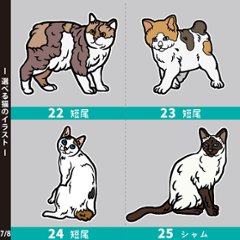 猫 ねこ お名前入り ポーチ 人気商品 名入れ 愛猫 クロネコ 白猫 たれみみ ハチワレ 三毛猫 みけ オリジナル ペットグッズ 雑貨 ［ ポーチ アイラブ猫筆記体 ] 出産祝いプレゼント 家族画像