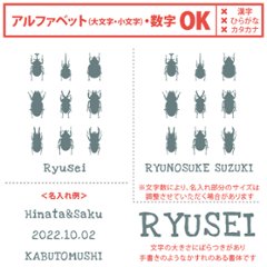 カブトムシ 名入れ 長袖 Tシャツ [ 昆虫 図鑑 ] クワガタ てんとう虫 お誕生日 プレゼント アウトドア 好き こども服 キッズ ジュニア ベビー おそろい 兄弟 姉妹 リンク画像