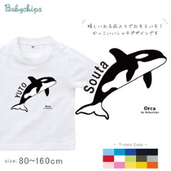 名入れ 名前入 半袖 Tシャツ シャチ [ シャチ ] 水族館 さめ 鮫 サメ いるか イルカ プレゼント こども服 キッズ ジュニア ベビー おそろい 兄弟 姉妹 リンク T お出掛け 帰省 旅行の画像