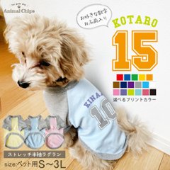 名入れ ペット 服 半袖 ラグラン スポーツ アメカジ お名前入り オリジナル 犬 わんちゃん ［ ベースボール ロゴ ］ バスケットボール 野球 オーダーメイド おそろい ワンちゃん おさんぽ画像