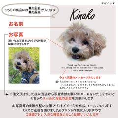 ペット 巾着 ポーチ 写真 オリジナル 犬 猫 出産祝い 名入れ 愛犬 赤ちゃん 子供 [ 写真入り巾着　A4すっぽり大きめサイズ ] 写真入り オリジナル フォト プレゼント　猫の日画像