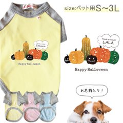 ハロウィン 犬服 名入れ おしゃれ ペット 服 かぼちゃ カボチャ 半袖 ラグラン お名前入り 犬 わんちゃん [ パンプキン ] オーダーメイド 飼い主様とおそろい お名前入 ワンちゃん ねこ 猫 の画像