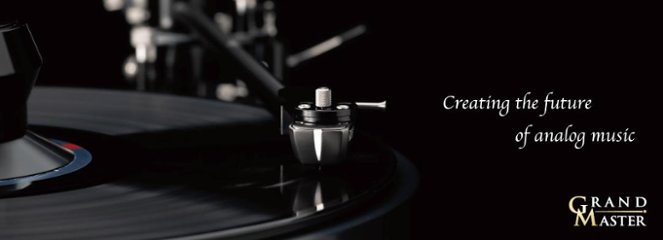 DSAUDIO DS-W2CR　DS-W2 カートリッジ画像