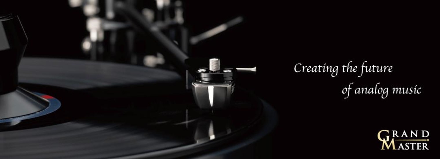 DSAUDIO DS-W2CR　DS-W2 カートリッジ画像