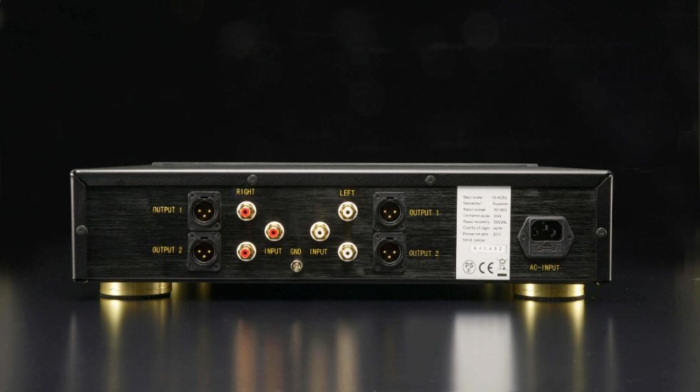 DSAUDIO DS-W2EQ DS-W2 イコライザー画像