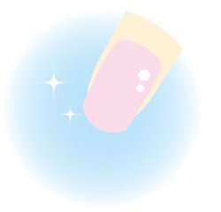 ブロツクシャイナーダブルパック (BSD-1)画像