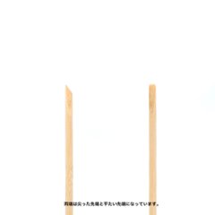 NON-TOUCH STICK(DMS-3)画像