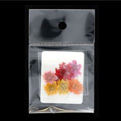 Dry Flower コゴメナデシコ ピンク(SDF-4)の画像