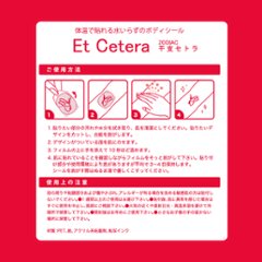 EtCetera干支セトラ 辰 DRAGON-comic（たつ/コミック調）画像