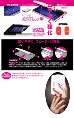 プロフェッショナルLEDライトポッド(LLP-2W)画像