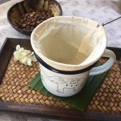 コーヒーフィルター　画像