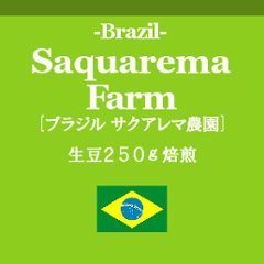 ブラジル サクアレマ農園 (コーヒー生豆250g焙煎)の画像
