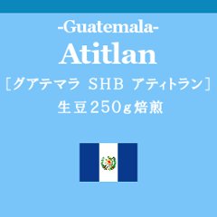 グアテマラ アティトラン (コーヒー生豆250g焙煎)の画像