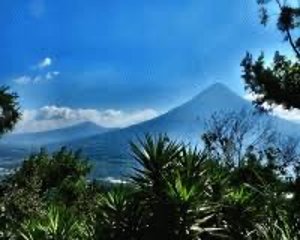 《中米》 グァテマラ アンティグア　サリナス農園　ウォッシュドの画像