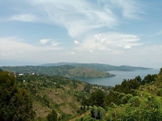 《アフリカ》　コンゴ　キブ　イジュヴィ島　(ｺｰﾋｰ)の画像