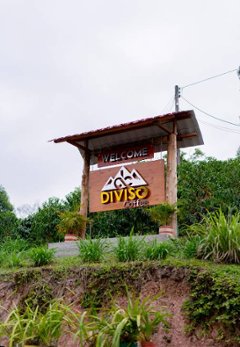 《南米》 コロンビア　ピンクブルボン　エル・ディビソ農園　(ｺｰﾋｰ)の画像