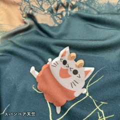 フルグラフィックTシャツ【コットンタイプ_高彩度フルカラー】 両面印刷画像