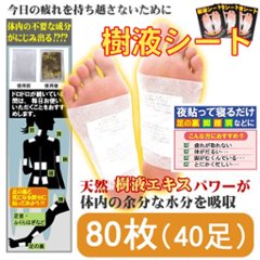 足裏樹液シート (80枚入・両足40回分)【送料無料】の画像