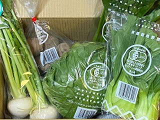 【定期便】ポテンシャル農業研究所　小さな野菜セットの画像