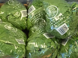 ポテンシャル農業研究所　小さな野菜セット画像