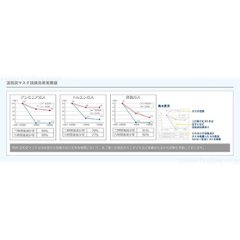 【在庫限り】 BMC活性炭入フィットマスク　レギュラー　30枚入画像