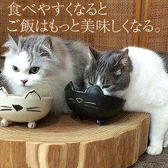 猫さんのごはん台（半月）丸太の輪切り1/2カット画像