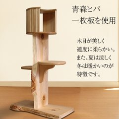 小さいキャットツリーひぐらし　支柱1本ハウス付きタイプ画像