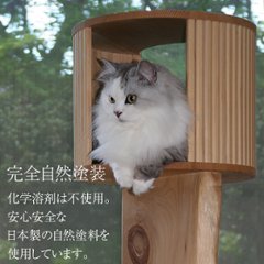 小さいキャットツリーひぐらし　支柱1本ハウス付きタイプ画像