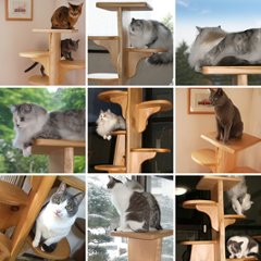 キャットツリーひぐらし　支柱1本タイプ【特注】画像