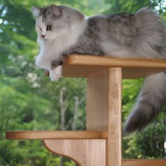 キャットツリーひぐらし　支柱1本タイプ【特注】画像