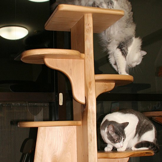 キャットツリーひぐらし　支柱1本タイプ【特注】画像