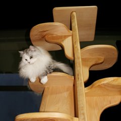 キャットツリーひぐらし　支柱1本タイプ【特注】画像