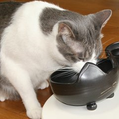 猫さんのごちそう茶碗・黒画像