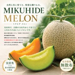 武久農園の実育秀メロン 2個セット （レノンウェーブ 約1.5kg・パソナTF 約1.5kg）の画像