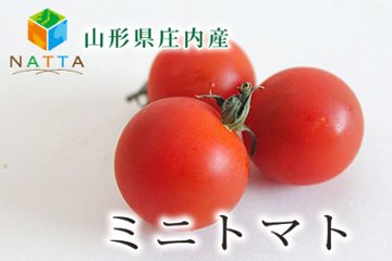 夏キャンペーン山形県庄内産ミニトマト3kgの画像