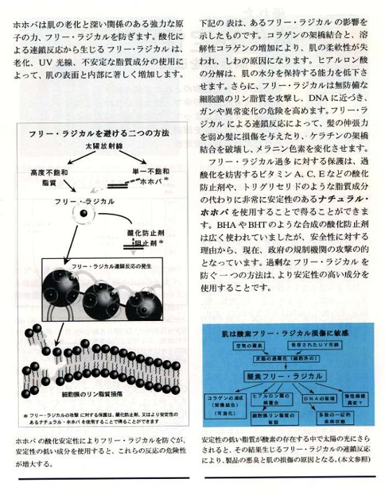 ホホバJ-100 ゴールデン×1と透明×1画像