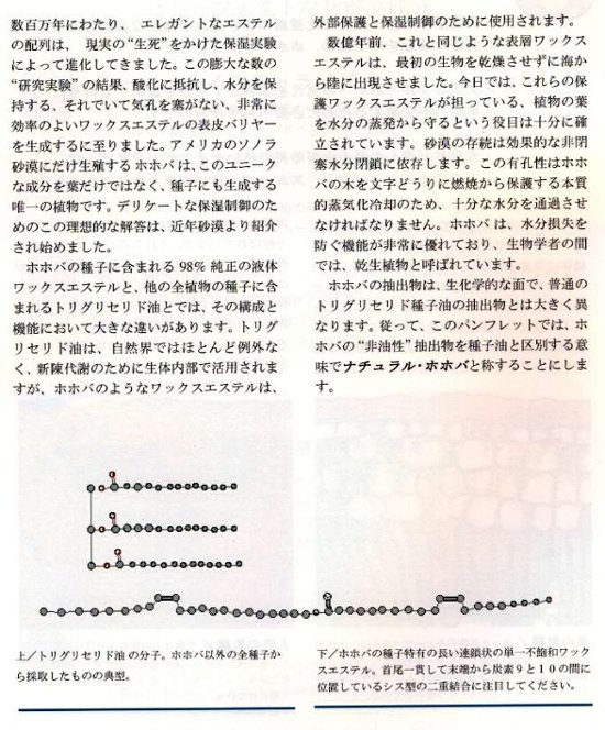 J-100 ゴールデンホホバオイルオーガニック脱臭1000ml画像