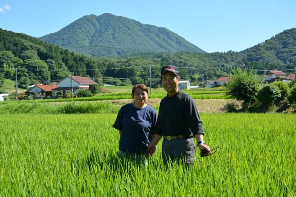 ご縁米（ごえんまい）【令和七年度産】大田市北三瓶産コシヒカリ5kgの画像