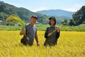 山陰中央新報オリジナル米　ご縁米（ごえんまい） 【令和七年度産】安来市伯太産コシヒカリ5kgの画像