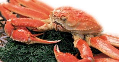 【境港産】松葉がに姿　特大1枚（600g～690gｘ1）ボイルの画像