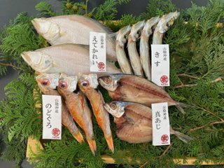 こだわりの一夜干しセット③の画像