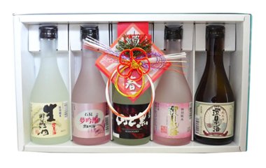 【日本海酒造】飲みくらべセット　300ml×5種の画像