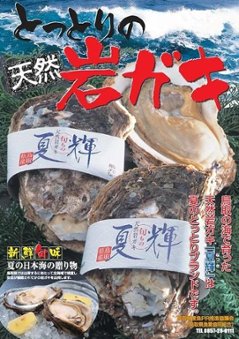鳥取県産天然岩ガキ「夏輝」（400g～500g×5個）の画像